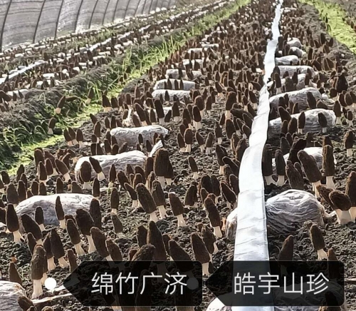 &#19975;&#35937;&#22478;&#22312;&#32447;&#45;&#19975;&#35937;&#22478;&#22312;&#32447;&#40;&#20013;&#22269;&#41;