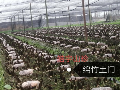 &#19975;&#35937;&#22478;&#22312;&#32447;&#45;&#19975;&#35937;&#22478;&#22312;&#32447;&#40;&#20013;&#22269;&#41;
