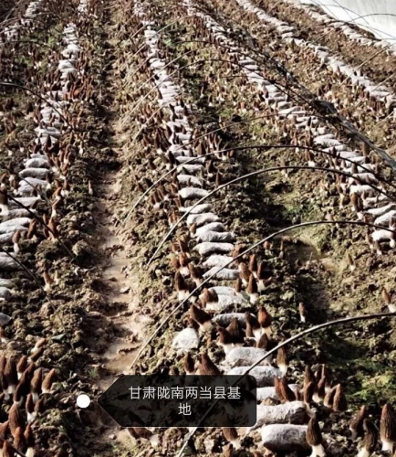 &#19975;&#35937;&#22478;&#22312;&#32447;&#45;&#19975;&#35937;&#22478;&#22312;&#32447;&#40;&#20013;&#22269;&#41;