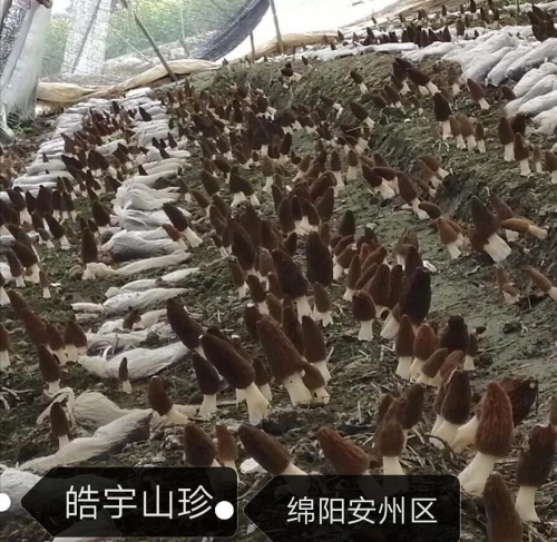 &#19975;&#35937;&#22478;&#22312;&#32447;&#45;&#19975;&#35937;&#22478;&#22312;&#32447;&#40;&#20013;&#22269;&#41;