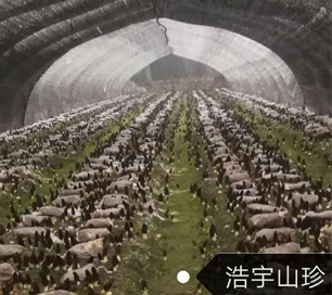 &#19975;&#35937;&#22478;&#22312;&#32447;&#45;&#19975;&#35937;&#22478;&#22312;&#32447;&#40;&#20013;&#22269;&#41;