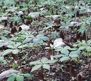 &#19975;&#35937;&#22478;&#22312;&#32447;&#45;&#19975;&#35937;&#22478;&#22312;&#32447;&#40;&#20013;&#22269;&#41;