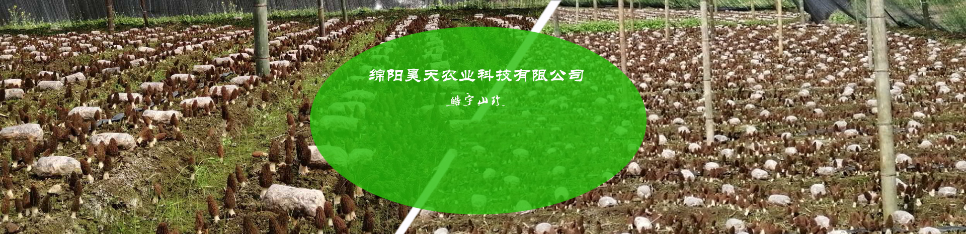 &#19975;&#35937;&#22478;&#22312;&#32447;&#45;&#19975;&#35937;&#22478;&#22312;&#32447;&#40;&#20013;&#22269;&#41;